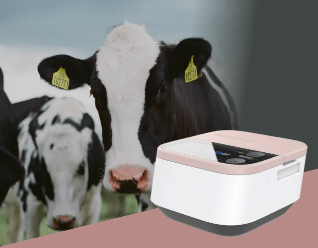 Livestock disease